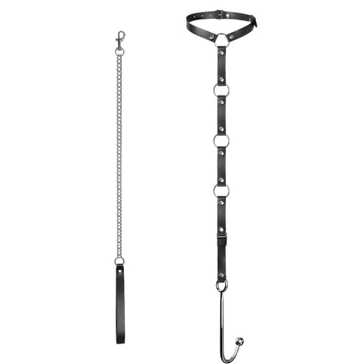 EverydayUse Hook Kinky Leash with Anal 5853 and Collar 1008